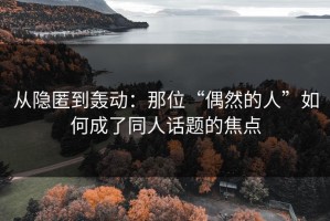 从隐匿到轰动：那位“偶然的人”如何成了同人话题的焦点