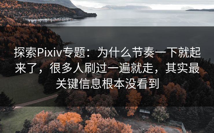 探索Pixiv专题：为什么节奏一下就起来了，很多人刷过一遍就走，其实最关键信息根本没看到