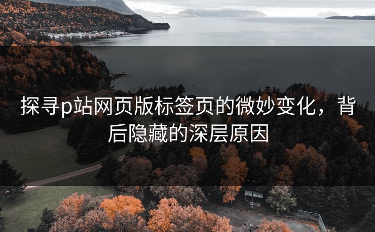 探寻p站网页版标签页的微妙变化,背后隐藏的深层原因 探寻p站网页版标签页的微妙变化,背后隐藏的深层原因